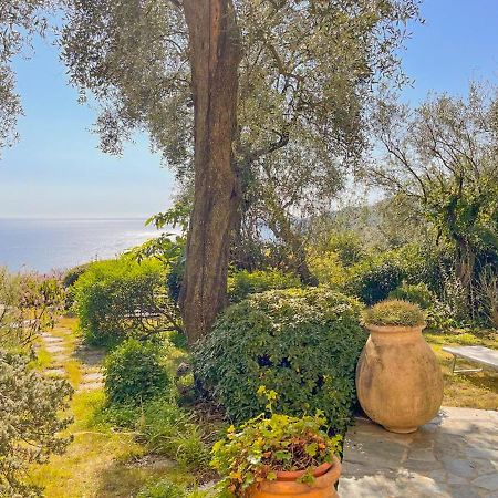 L'Uliveto Di Santa Con Piscina Villa Santa Margherita Ligure Eksteriør billede