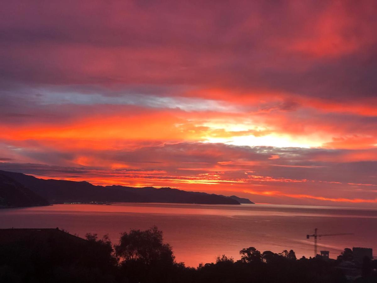 L'Uliveto Di Santa Con Piscina Villa Santa Margherita Ligure Eksteriør billede