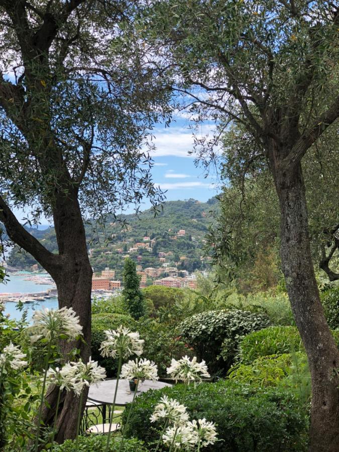 L'Uliveto Di Santa Con Piscina Villa Santa Margherita Ligure Eksteriør billede
