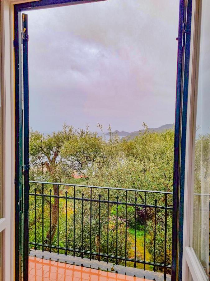 L'Uliveto Di Santa Con Piscina Villa Santa Margherita Ligure Eksteriør billede