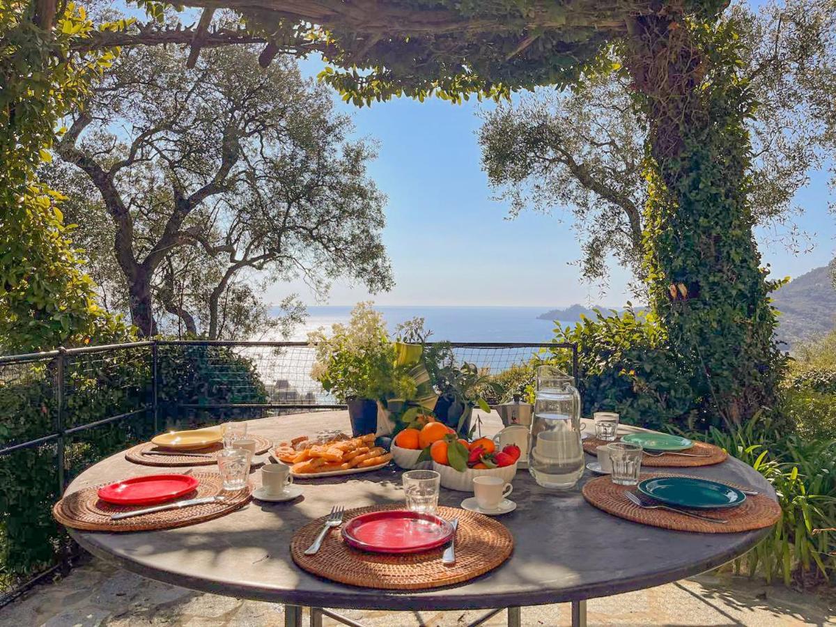 L'Uliveto Di Santa Con Piscina Villa Santa Margherita Ligure Eksteriør billede